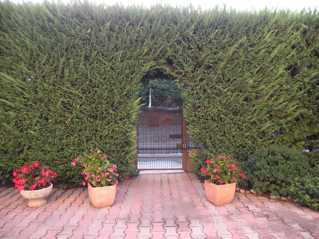 Casa Oriana Villa Rosolina Kültér fotó